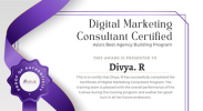 Digital Marketing Consultant